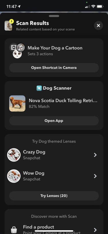 A screenshot of results from a Snapchat scan of a dog.