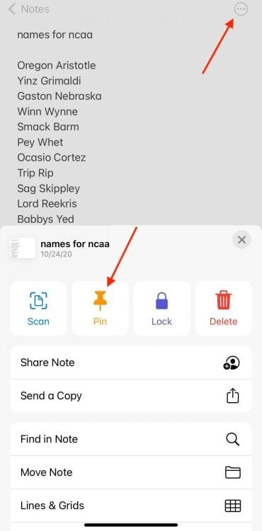 screenshot showing where to click to pin note